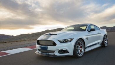 shelby-super-snake-10_1800x1800-564939