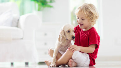 Soft skills your child needs to be ready to take on the world