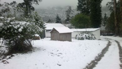 Southern Cross Cottage, Hogsback - 2