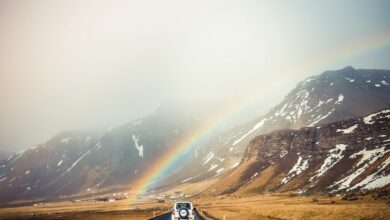 Stress-free ways to keep your kids happy on a long drive