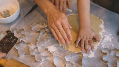 Super fun animal cookie recipe your kids can help with!