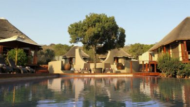 Thanda Safari tents (Medium)