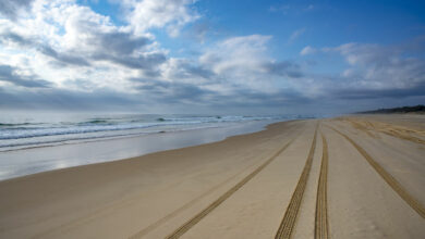 tire Tracks Great Sandy National Park, Queensland Australia