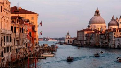 Venice Biennale Image