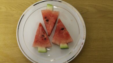 watermelon 5 (Medium)