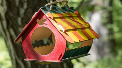 Weekend DIY projects for the whole family