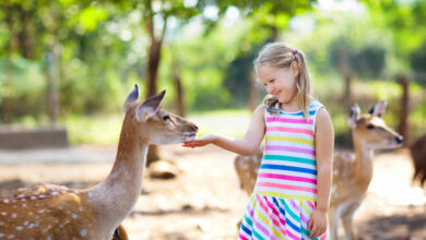 Why a bush holiday might be just what your kids need