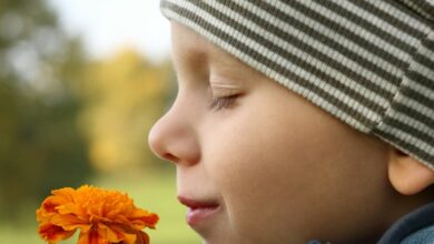 Why spending time outside gives value to children