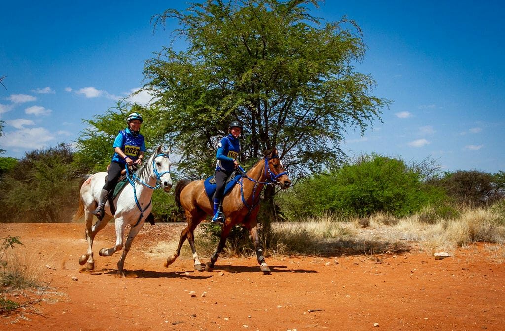 Equestrian Camdeboo 4