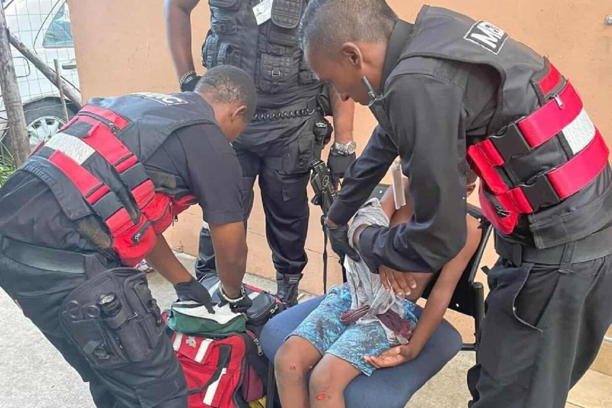 KZN boy (8) allegedly attacked by neighbour’s dog - LNN - Randburg Sun