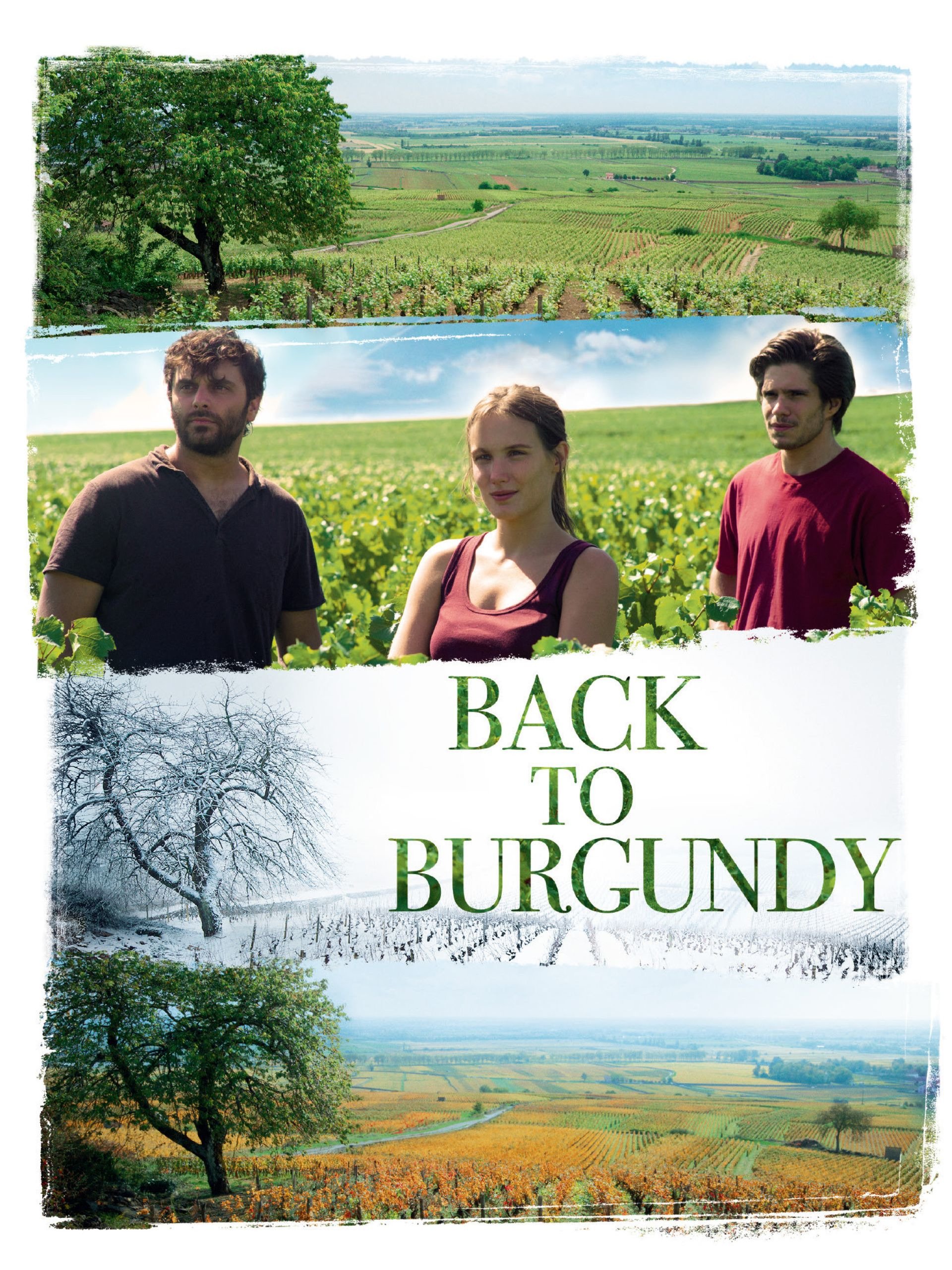 back to burg