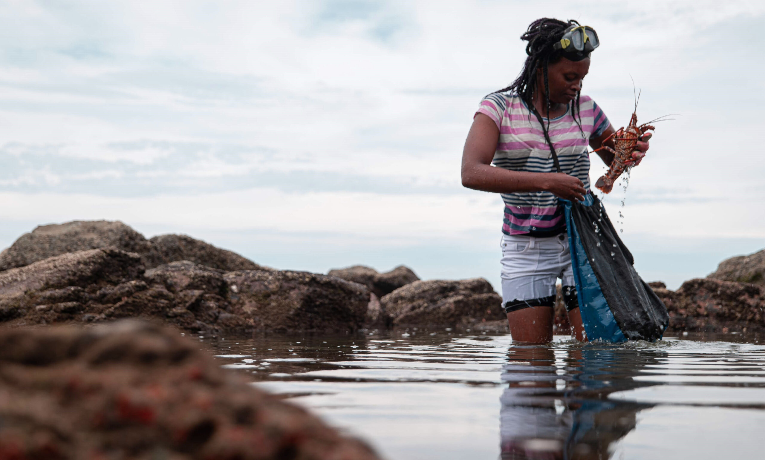 Co-op fisher with east coast rock lobster (landscape)