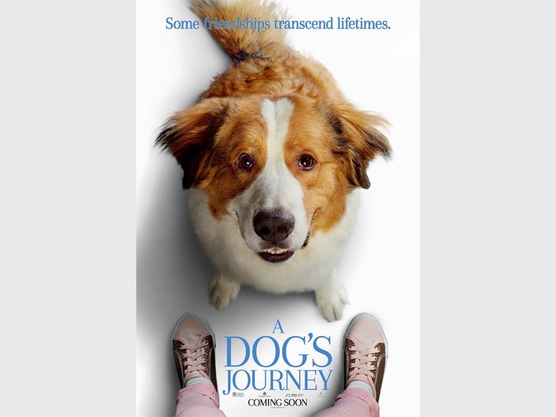DogsJourney_Poster_h_90678