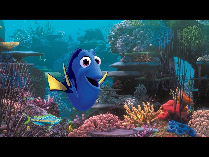 Dory_80884