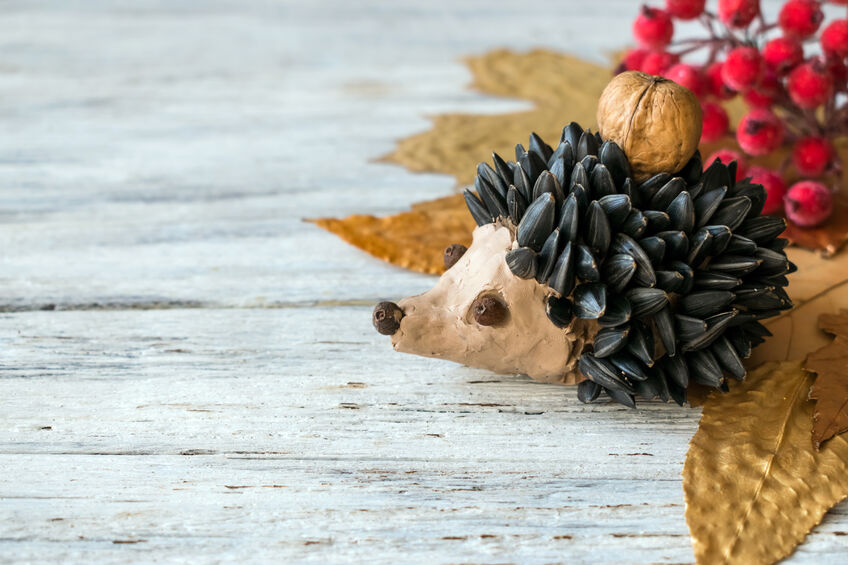 How to craft a hedgehog out of sunflower seeds