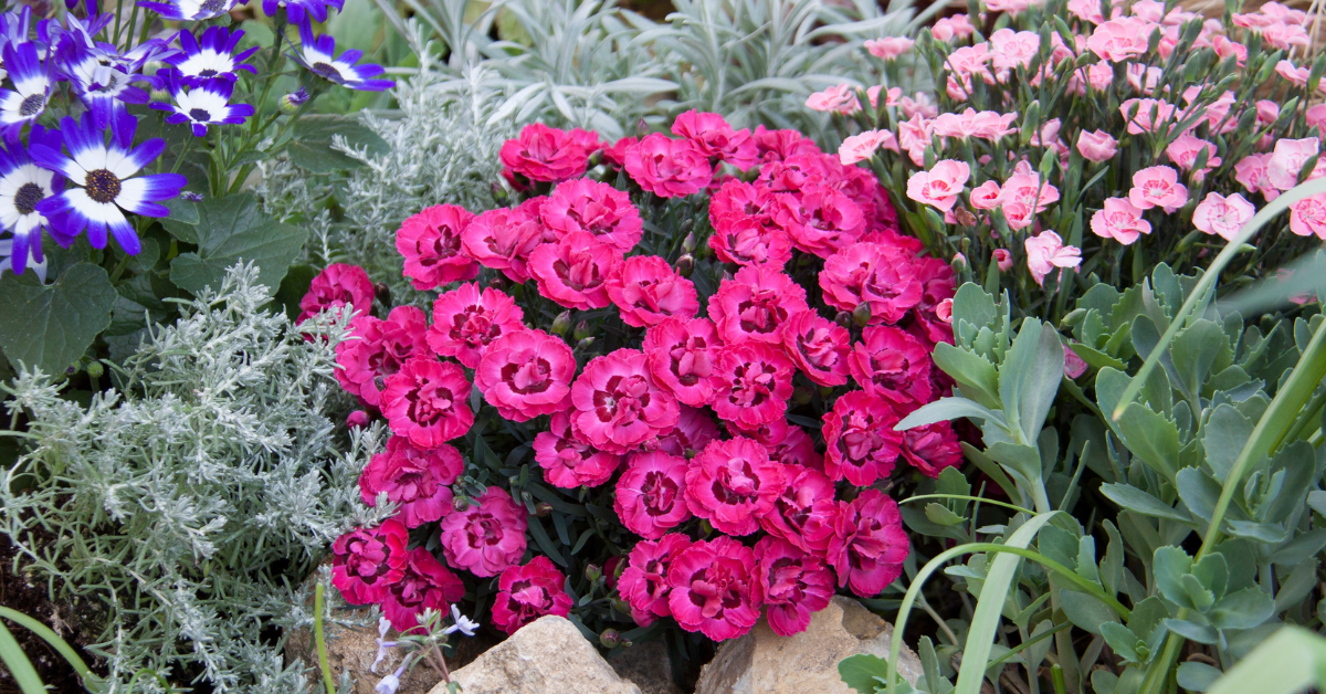 LNN Featured Image_1 (16)