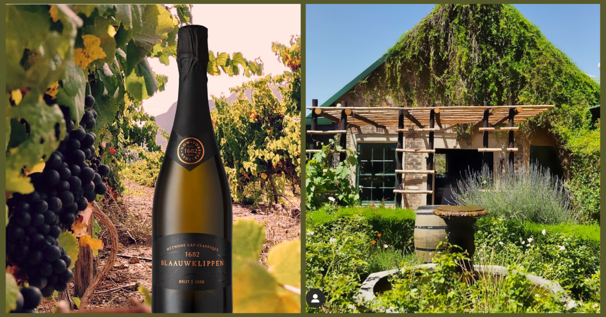 LNN Featured image_2 (16)