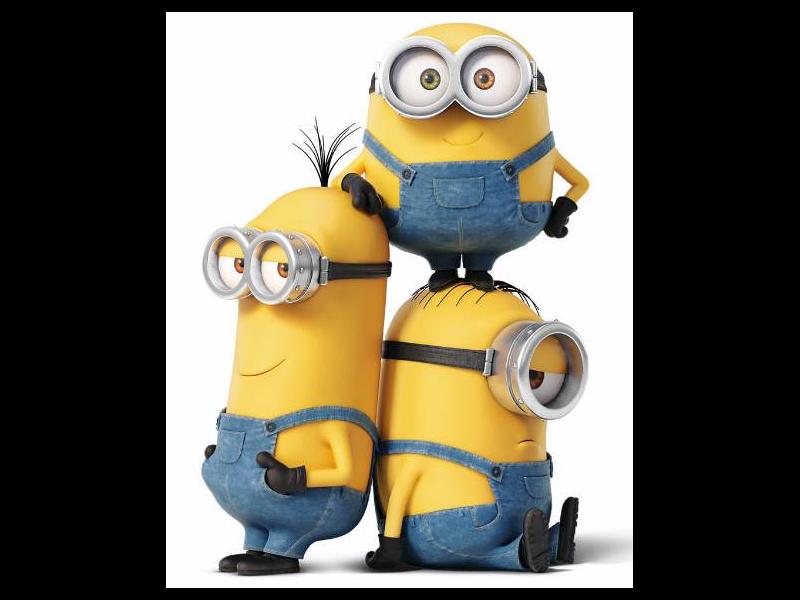 MINIONS_SouthAfric_66849