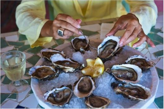 oester 2