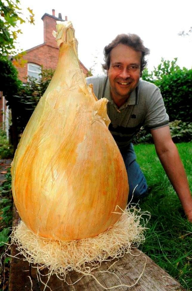 Onion