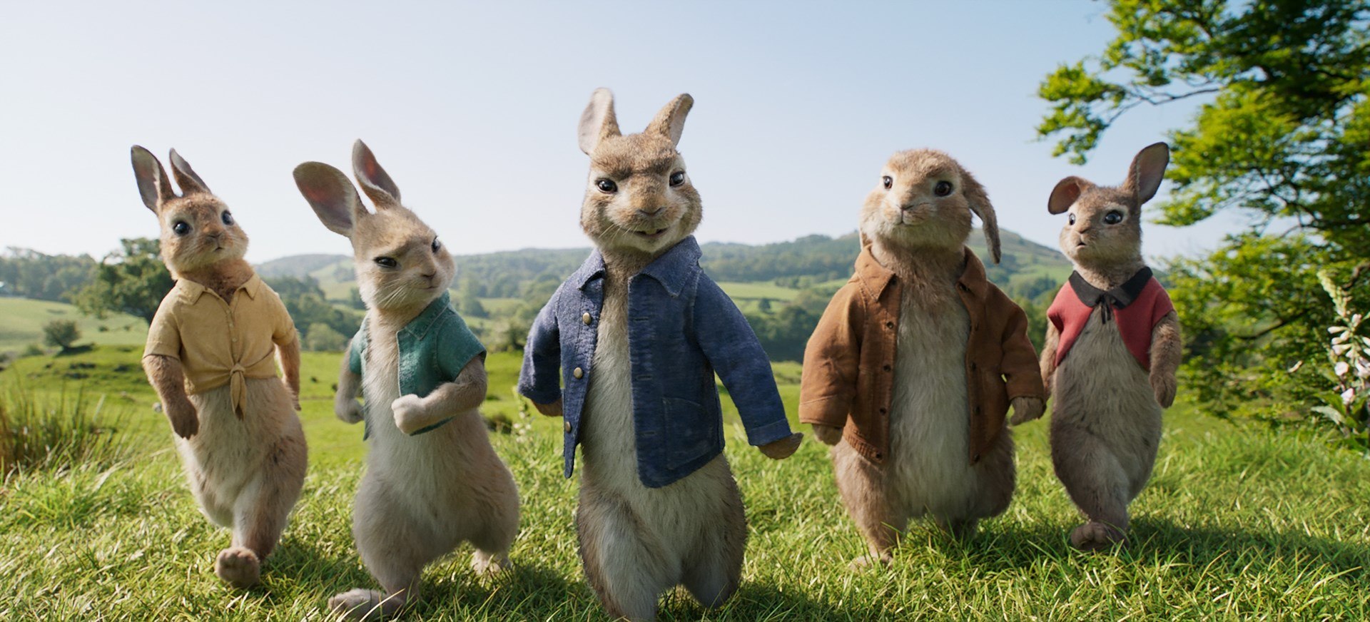 Peter Rabbit 2 still3 (002)
