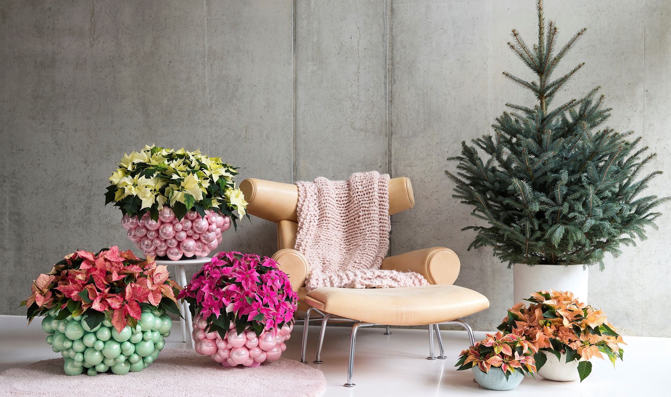 Styling Elize Eveleens - Klimprodukties