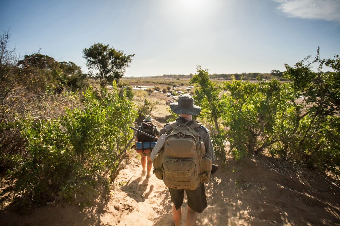Why a walking safari