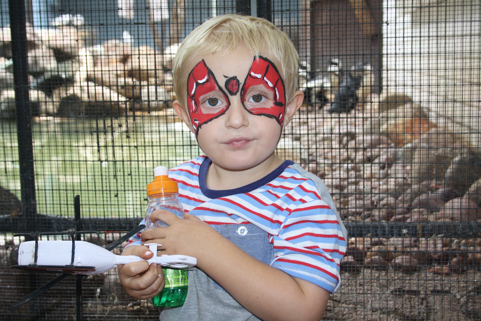 zoo (1)