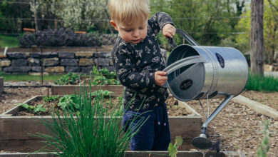 Age-to-age guide to gardening with kids
