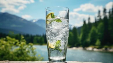 Beat the heat with a Ranch Water cocktail
