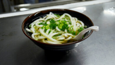 Vegetarian Japanese Udon noodle soup