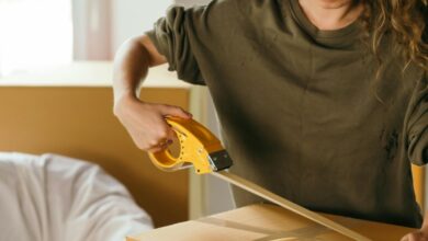 Solo females dominate the housing market