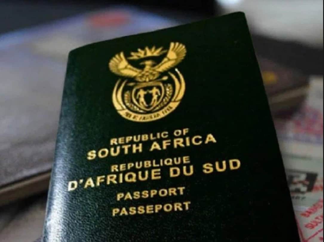 Home Affairs extends hours for matrics as finals loom LNN Network News