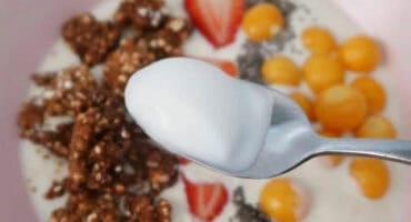 Soy milk vegan yoghurt