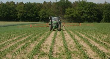 Illustrative image. Photo shows a tractor driving in a field of maize.