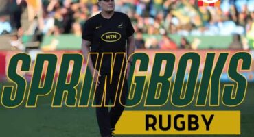 Rassie Erasmus stock image
