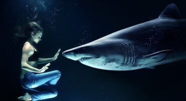 a woman and shark facing each other under water