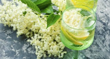 Elderflower and lemon spring spritz cocktail recipe
