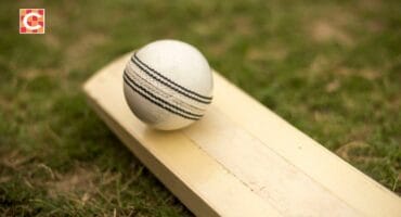 Image for illustration purposes. Cricket bat and ball