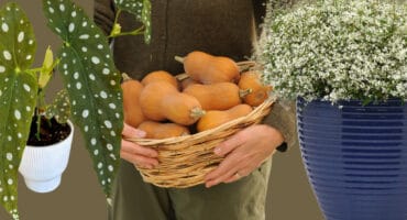 The seasonal shift is here!