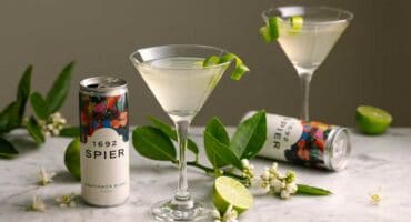 With its crisp notes, aromatic elderflower, and zesty lime, this drink captures the essence of a sophisticated sundowner.