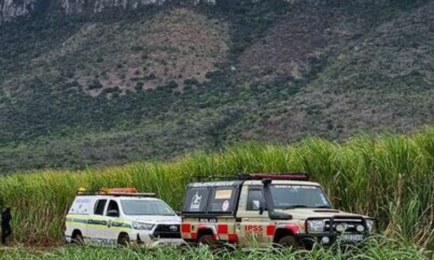 Police and private security searching for the missing UK woman