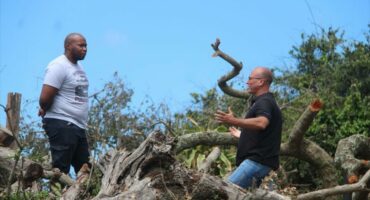 A DFFE official and a resident inspect the environmental damage of felled protected milkwood trees in Southport.