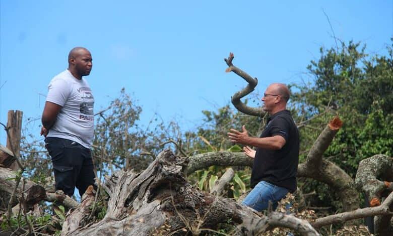 A DFFE official and a resident inspect the environmental damage of felled protected milkwood trees in Southport.