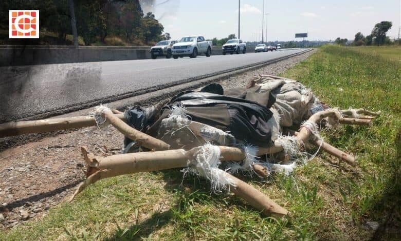 A man’s body, wrapped in plastic bags attached to branches tied together with rope lies on the grass beside Snake Road in Benoni, with cars passing by.