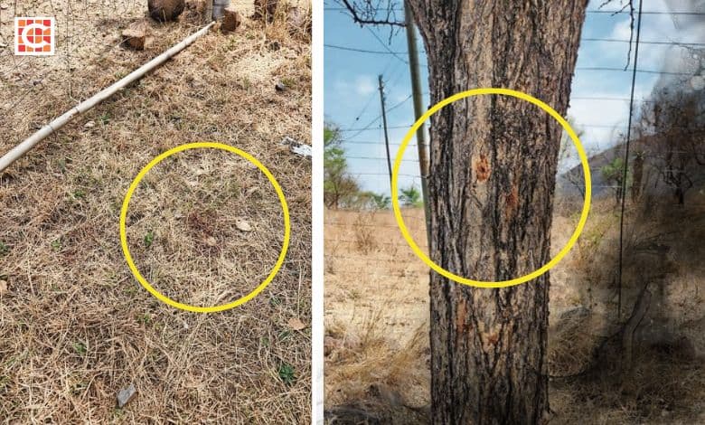 Mpumalanga double murder: Police search for victims’ heads, hands and feet