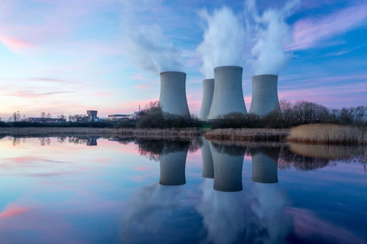 Remove emotions and listen to nuclear power expert | Network News