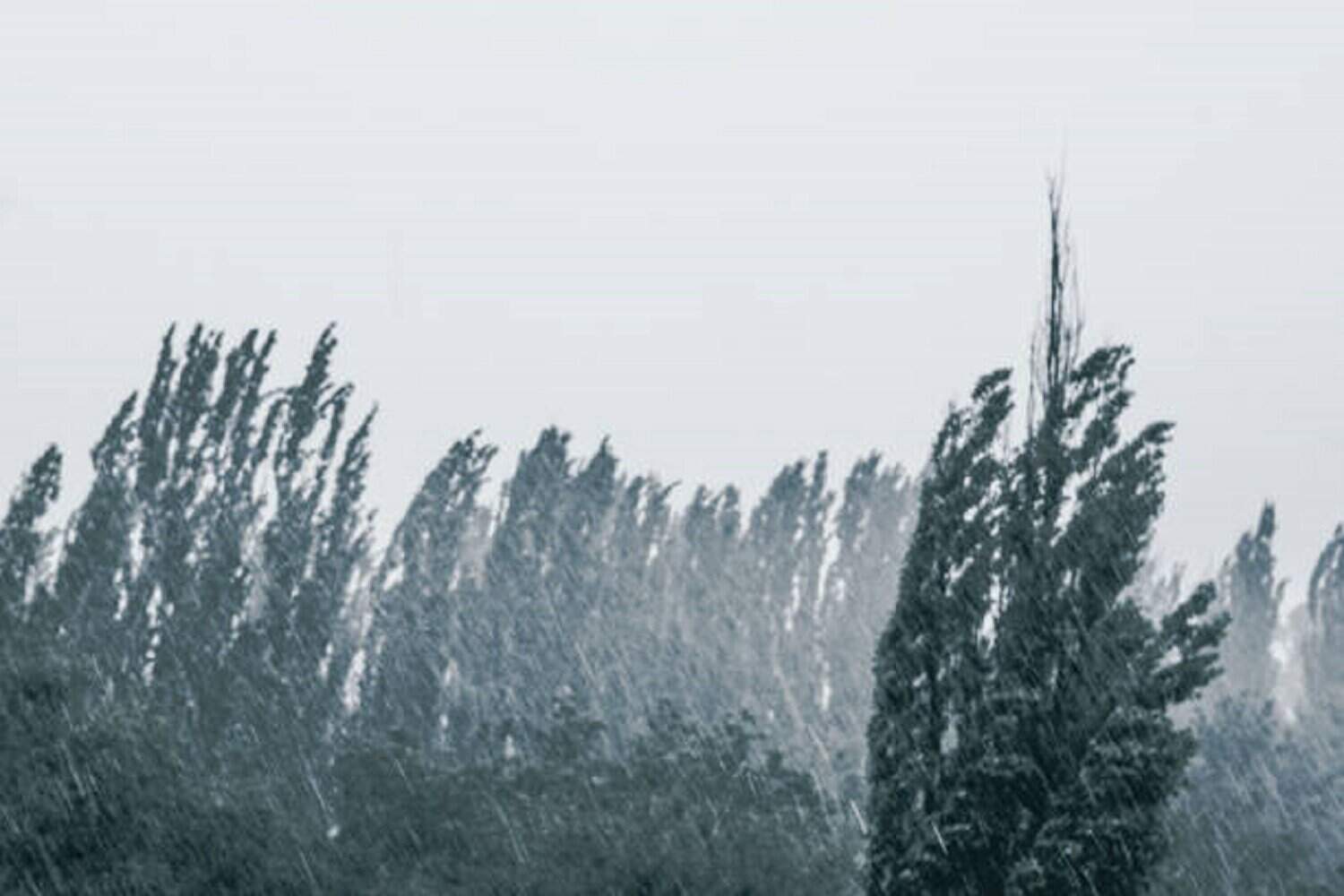 Several weather warnings: Severe winds expected on Sunday | Network News