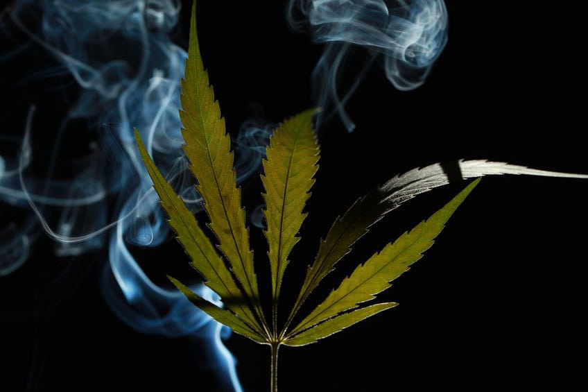 A green cannabis leaf on a black background enveloped in smoke