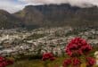 Table Mountain Overlooking Cape Town with Wildflowers